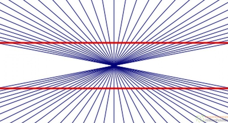 Optical Illusions That Will Make Your Brain Slide 18 bending lines hering illusion COURTESY LENSTORE - Milao Haath