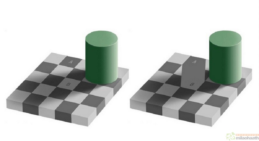 Gray area Checker Shadow illusion - Milao Haath
