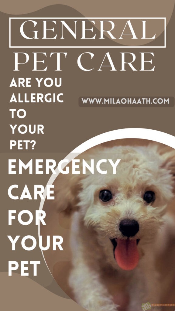 Pet General Care-Milao Haath
Pet General Care, The most common pet allergens are proteins found in their dander (old scales of skin that are constantly shed by an animal), saliva, urine, and sebaceous cells.