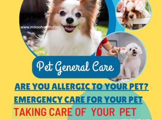 Pet General Care